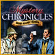 Download Mystery Chronicles: Mord blandt venner game