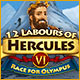 Download 12 Labours of Hercules VI: Race for Olympus game