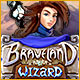 Download Braveland Wizard game
