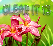 Download ClearIt 13 game