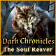 Download Dark Chronicles: The Soul Reaver game