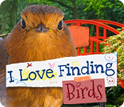 Download I Love Finding Birds game