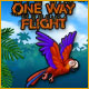 Download One Way Flight game