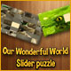 Download Our Wonderful World game