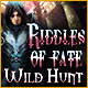 Download Riddles Of Fate: Wild Hunt game