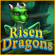 Download Risen Dragons game