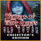 Download Secrets of Great Queens: Old Tower Collector's Edition game