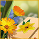 Download Springtime Mahjongg 2 game