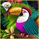 Download Twistingo: Bird Paradise Collector's Edition game