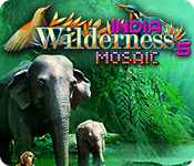 Download Wilderness Mosaic 5: India game