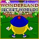 Download Wonderland Secret Worlds game