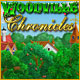 Download Woodville Chronicles game
