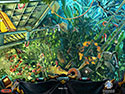 Amaranthine Voyage: El Árbol de la Vida screenshot