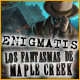 Download Enigmatis: Los fantasmas de Maple Creek game