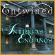 Download Entwined: Intrigas y Engaños game