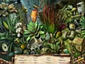Guardians of Beyond: Witchville screenshot