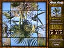 Mirror Mixup screenshot