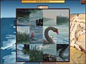 World Riddles: Animals screenshot