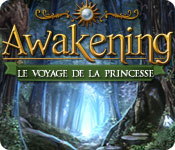 Download Awakening: Le Voyage de la Princesse game