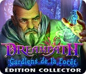Download Dreampath: Gardiens de la Forêt Édition Collector game