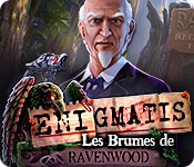 Download Enigmatis: Les Brumes de Ravenwood game