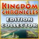 Download Kingdom Chronicles Edition Collector game