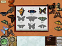 Treasure Masters, Inc. screenshot