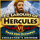 Download 12 Labours of Hercules VI: Race for Olympus Collector's Edition game