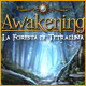 Download Awakening: La Foresta di Tetraluna game