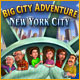 Download Big City Adventure: New York game