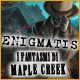 Download Enigmatis: I fantasmi di Maple Creek game