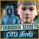 Download Forbidden Secrets: Città aliena game