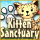 Download Kitten Sanctuary game