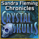 Download Sandra Fleming Chronicles: Crystal Skulls game