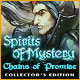 Download Spirits of Mystery: Chains of Promise Collector's Edition game