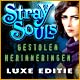 Download Stray Souls: Gestolen Herinneringen Luxe Editie game