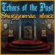 Download Echoes of the Past: Skuggornas slott game