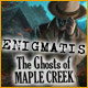 Download Enigmatis: Mysteriet i Maple Creek game