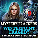 Download Mystery Trackers: Winterpoint Tragedy Collector's Edition game