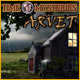 Download Time Mysteries: Arvet game